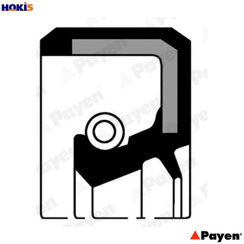 Shaft seal crankshaft na5320 - shaft,