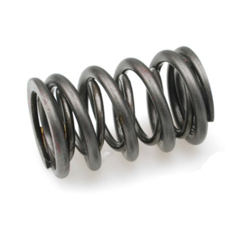Brian crower dual valve - crower, spring