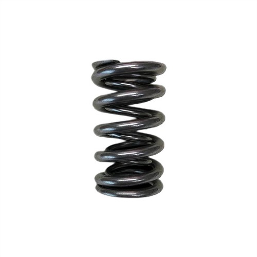 Dual valve spring - bc, brian